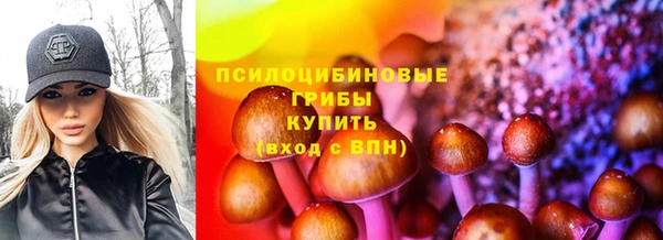 гашик Лагань