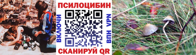 Галлюциногенные грибы Magic Shrooms  mega ТОР  Бийск 
