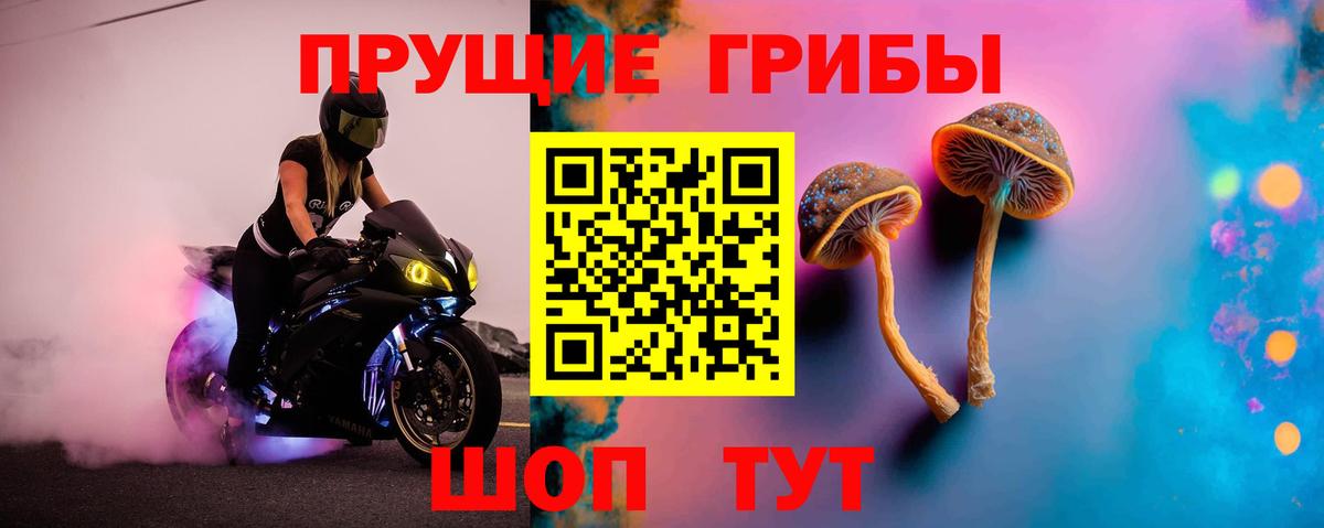 купить наркотик  Вход с VPN  Бийск  Псилоцибиновые грибы Cubensis  Псилоцибиновые грибы мицелий 